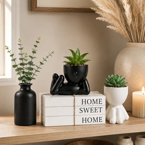 4PCS Farmhouse Home Decor Set, 3Pcs Faux Books + 2Pcs Fake Succulents Plants + gallery