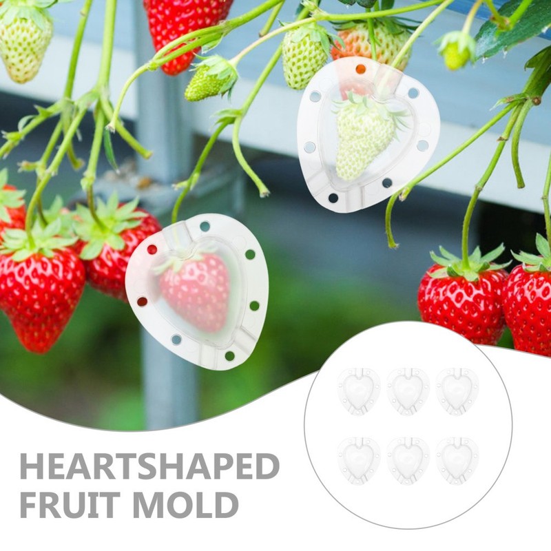 6 Pcs Strawberry Shaping Fruit for Garden Mould Tool gallery