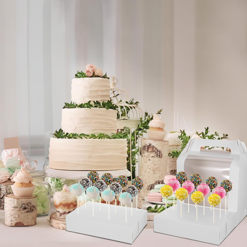 12 Pack Cake Pop Boxes, 18 Holes Cakes Pop Holder White Cake Pops Packaging Boxe gallery