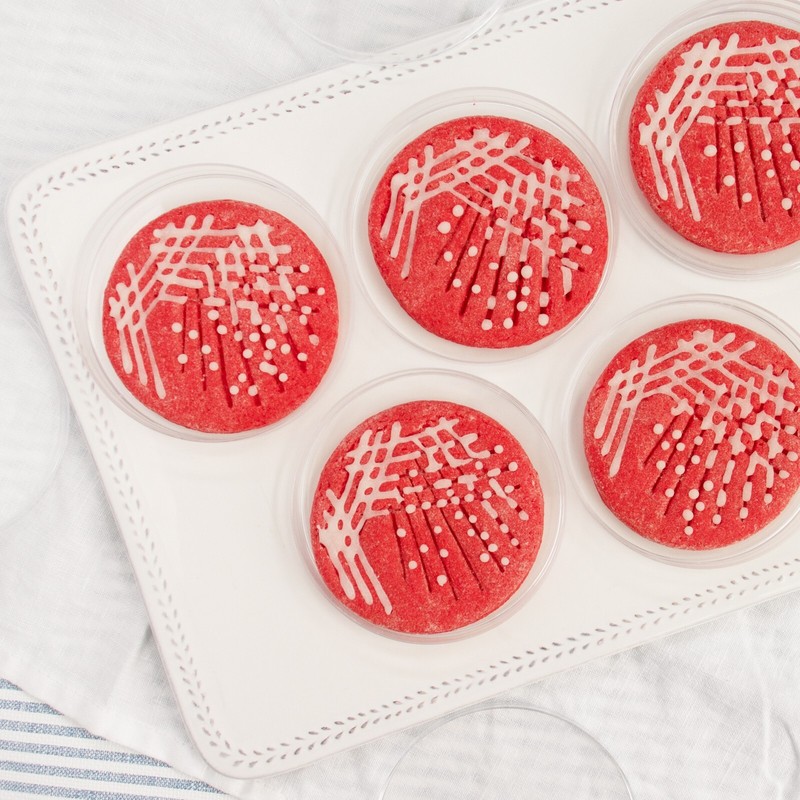 Set of 2 Petri Dish Cookie Cutters -Quadrant & Continuous Streak microbiology gallery