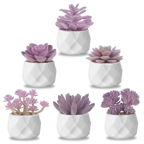Fake Succulent Plant Set 6 PCS Artificial Succulent Plants for Desk Purple gallery