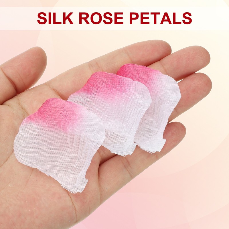 1000Pcs Artificial Rose Petals Silk Flower Decoration, Fuchsia White gallery