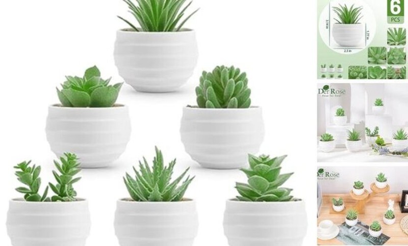 Pack Fake Plants Small Realistic Succulents Plants Artificial for Home Room 6