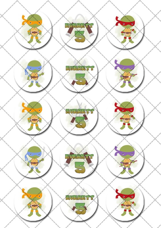 Teenage Mutant Ninja Turtles TMNT Pre-cut Edible Icing Cupcake or Cookie Toppers gallery
