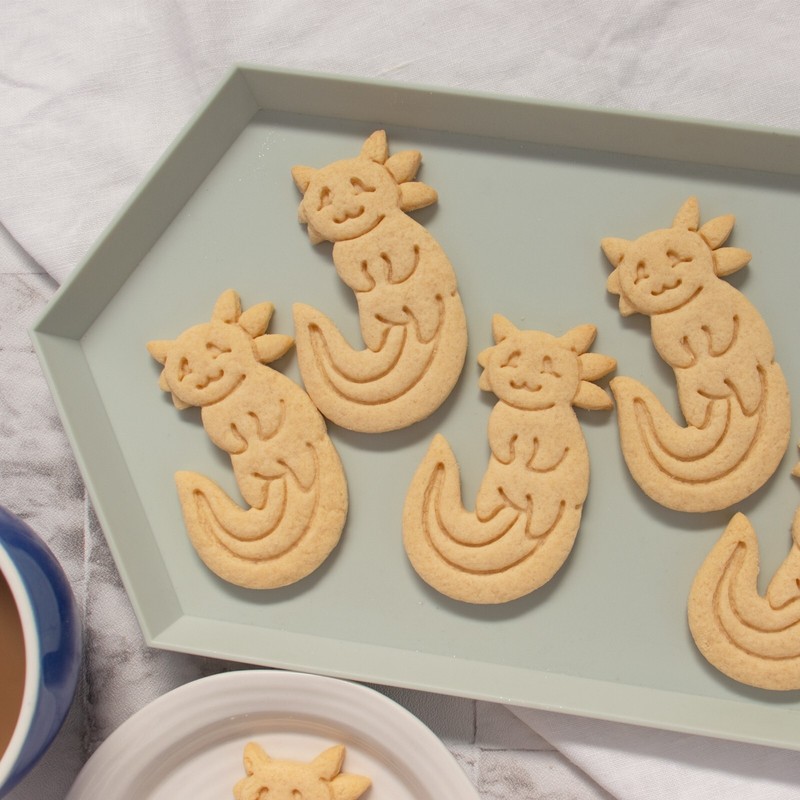 Cute Axolotl Cookie Cutter aquatic animal Walking Fish salamander amphibian pet gallery