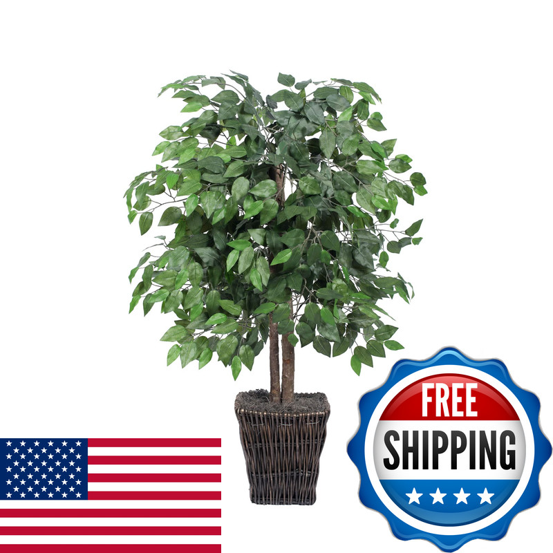 Vickerman Everyday 5 Tall Artificial Potted Real Touch Dracaena Tree – Lifelike