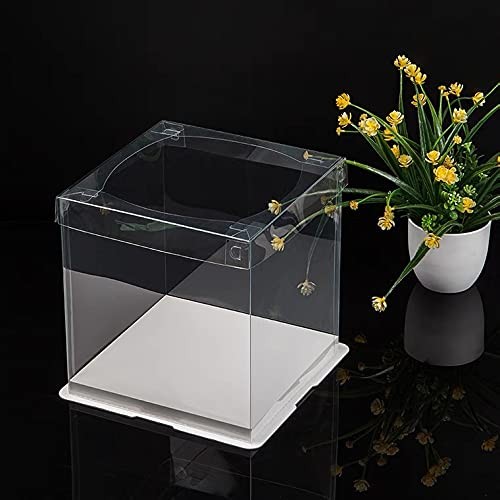 10 inch Clear cake Box, Large Transparent cake Box,tall cake boxes with Ribbo... gallery