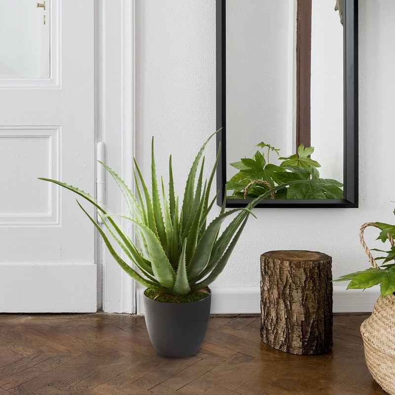 Nearly Natural Aloe Artificial Plant gallery