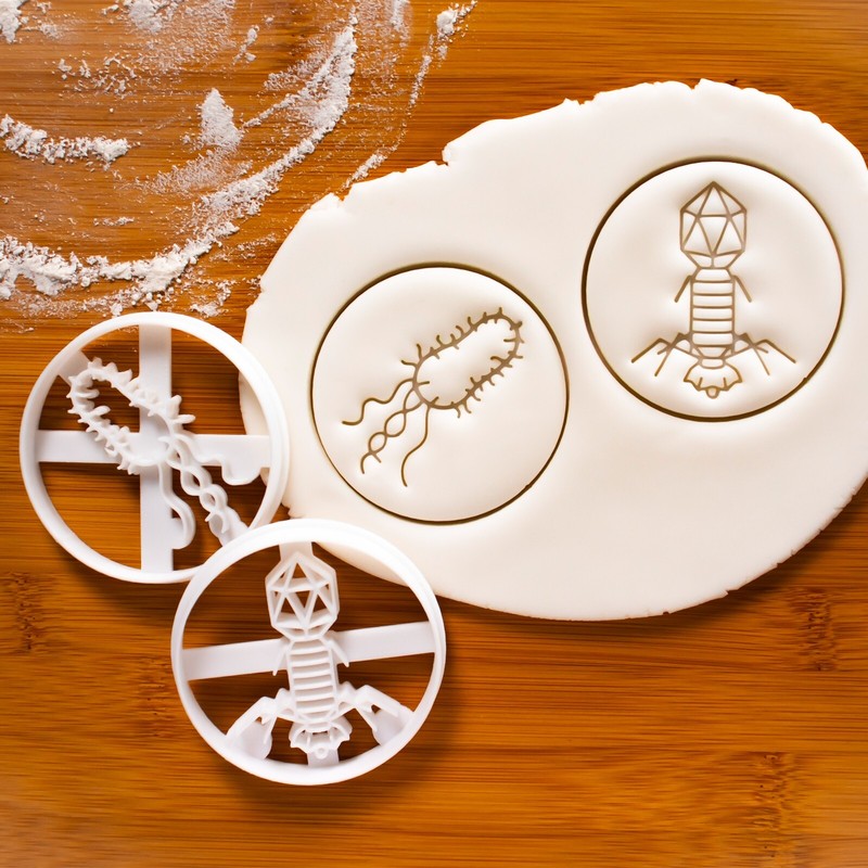 Bacteria & Virus Cookie Cutters Set – Microbiology laboratory science biology