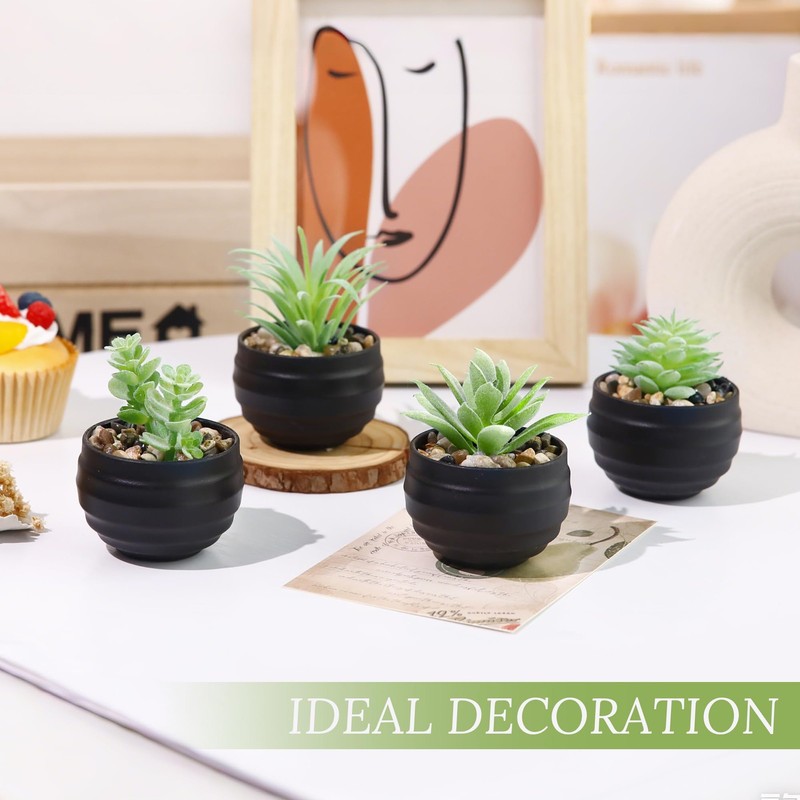 Der Rose 6 Pack Fake Succulents Plants in Black Pots 3.14"H × 2.3"W, gallery