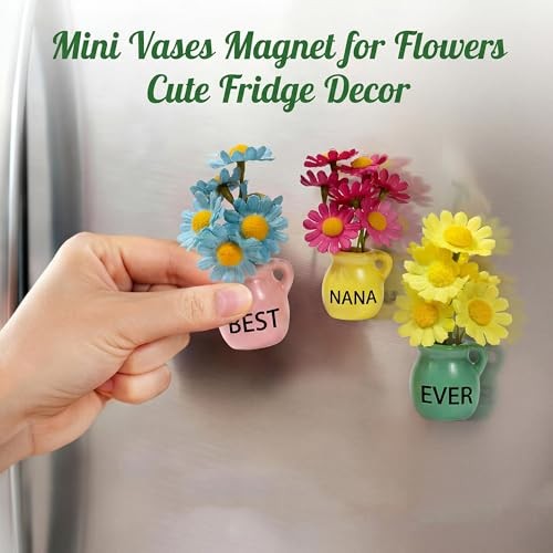 Nana Gifts - Mini Vase Magnets for Fridge, Best Nana Ever 3-Piece Ceramic gallery
