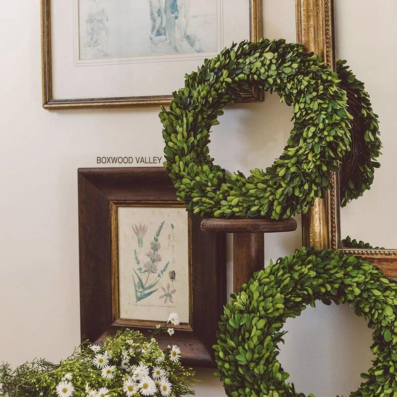 Boxwood Valley Preserved Boxwood Wreath 16 Inches Home Decoration Full Green gallery