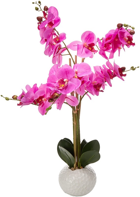 Noveltia Natural Touch Faux Fuchsia Orchid In Ceramic Pot Fuchsia 5 – 30 Flowers