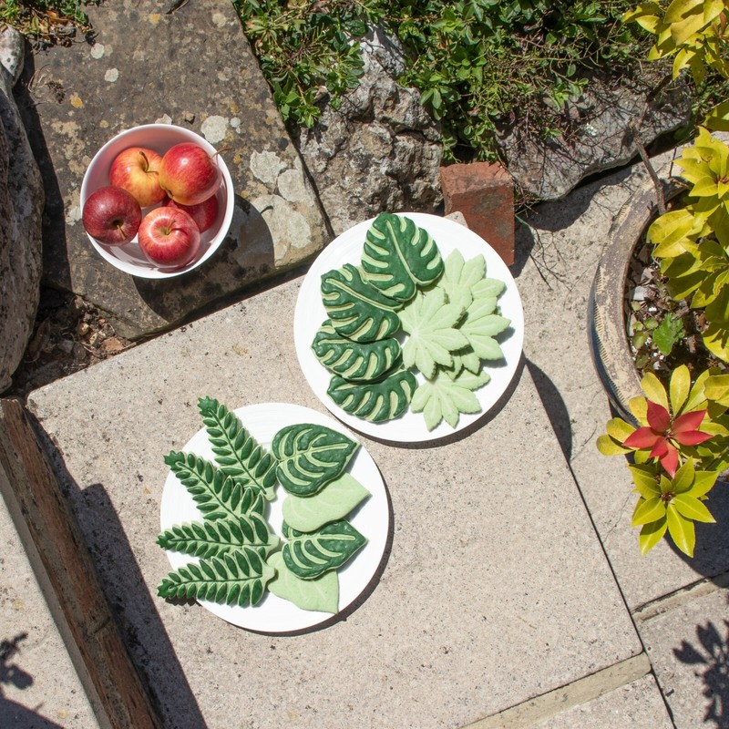 4 Garden Leaf Cookie Cutters - Monstera, Devils Ivy, Fern, Japanese Aralia Plant gallery