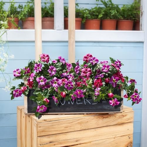 Artificial Flowers for Outdoors 2PCS Faux Petunias Silk Fake Flowers Fuchsia gallery