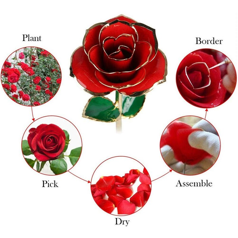 ENJOYPRO Valentines Day Gifts for Her, Real Rose Dipped Golden,Gold,Red,Rose gallery