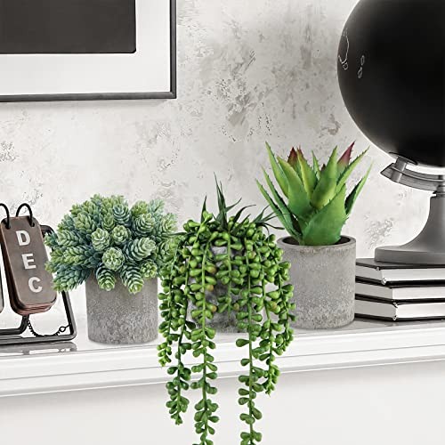 Set of 3 Mini Potted Succulents Artificial String of Pearls Aloe Hops gallery