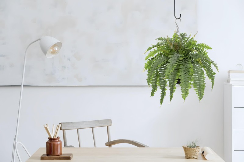 Hollyone Artificial Fern Hanging Basket Plant 25 Boston Ferns 31 Leaves gallery