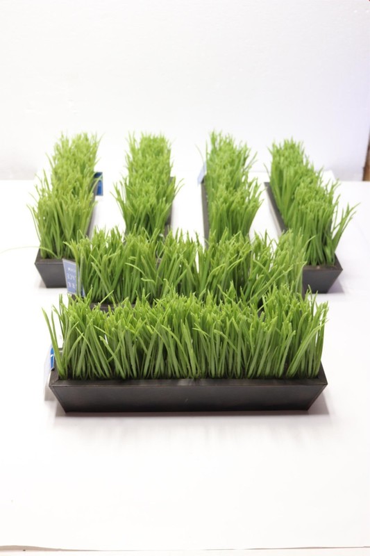 6x 6×13″ Faux Fake Plastic Grass In Rectangular Planter Artificial Silk Plant
