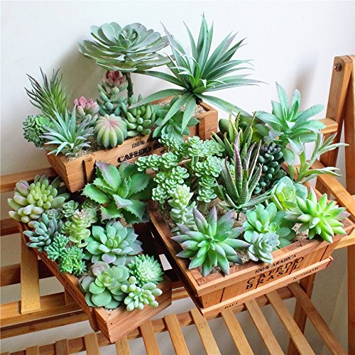 15 Pcs Artificial Succulent Plants Green Unpotted Faux Flower Succulents 15Pcs gallery