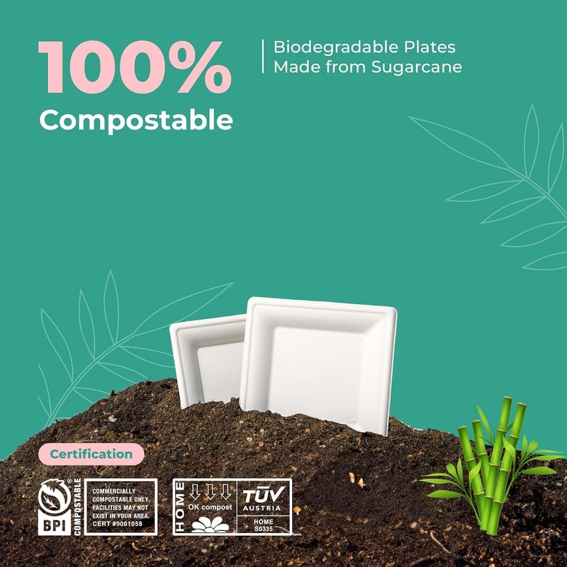 100 Pack Compostable Paper Plates 6" Appetizer Plates Square Dessert Heavy-Duty gallery