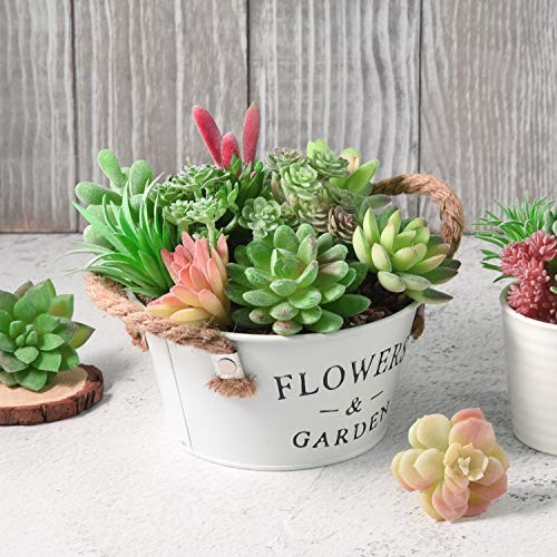15 Pcs Artificial Succulent Plants Green Unpotted Faux Flower Succulents 15Pcs gallery