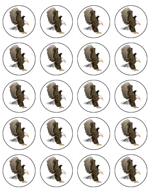 Eagle Edible Wafer Cake & Cupcake Decorations- Bird Theme Birthday Decorations
