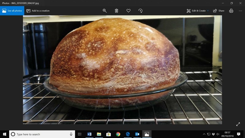 ALASKAN SOURDOUGH STARTER yeast 100 years old best accessory for baking (A) gallery