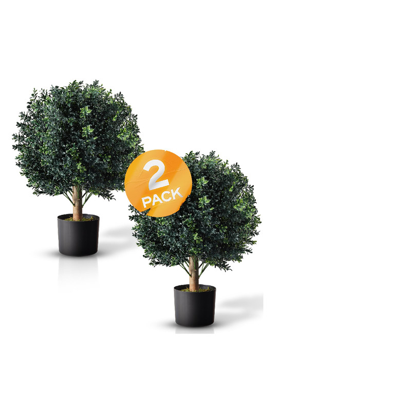 Tresil 2 Pack Pre-Potted 25 Ball Shaped Boxwood Topiary- 16 – Pot