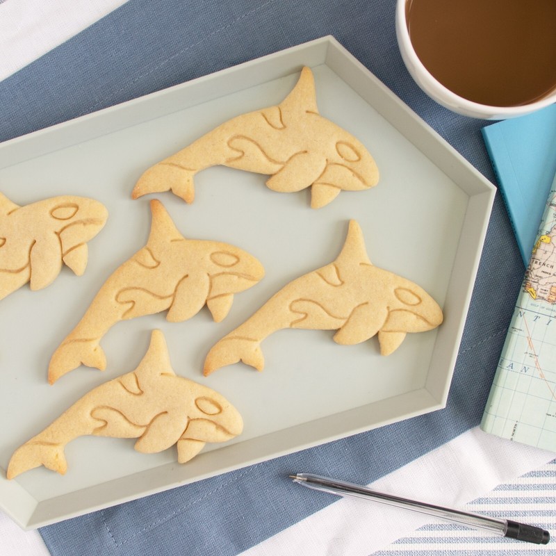 Orca Cookie Cutter - arctic animal marine Antarctic ocean wildlife killer whale gallery