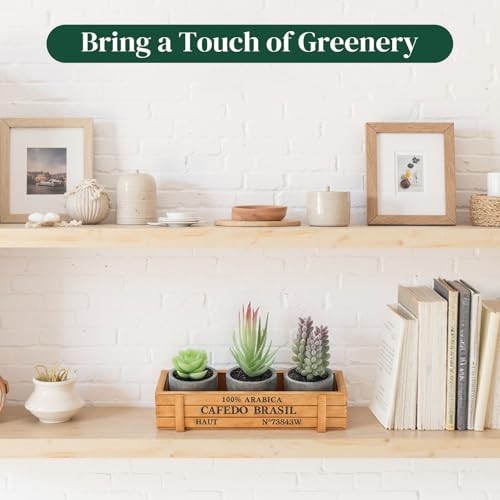 3PCS Small Fake Plants, Artificial Succulents Plants with Wooden Box for Home gallery