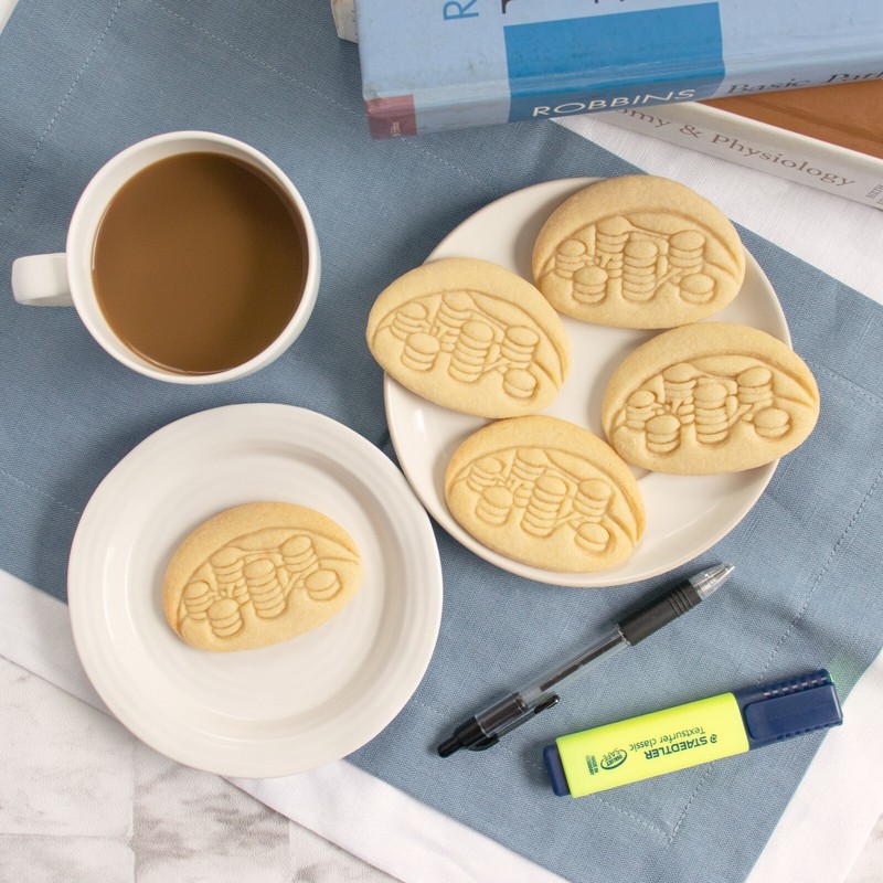 Chloroplast Cookie Cutter - microbiology plant cell phytology photosynthesis gallery