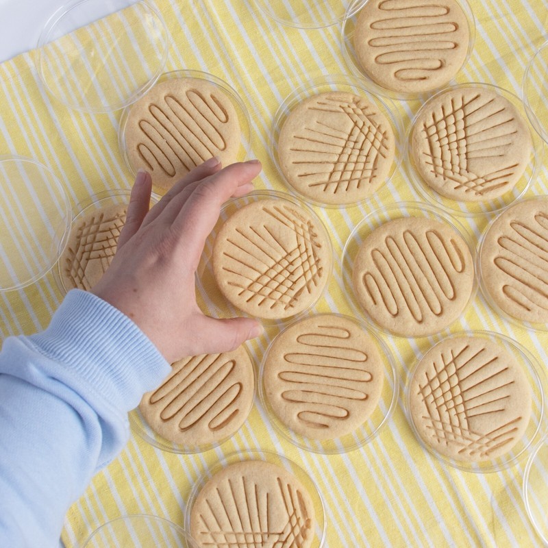 Set of 2 Petri Dish Cookie Cutters -Quadrant & Continuous Streak microbiology gallery