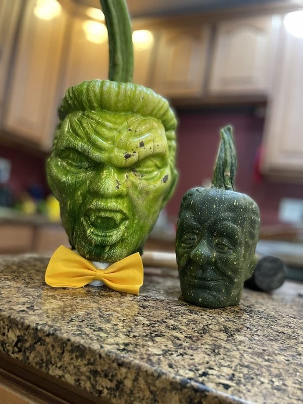 Fruitmould Frankenstein And Skull Pumpkin Mold For Growing Into Shape For gallery