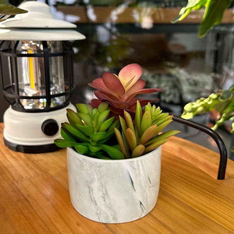 Karlliu Artificial Plants Cute Colourful Succulents in 4x4 inch, Colorful gallery