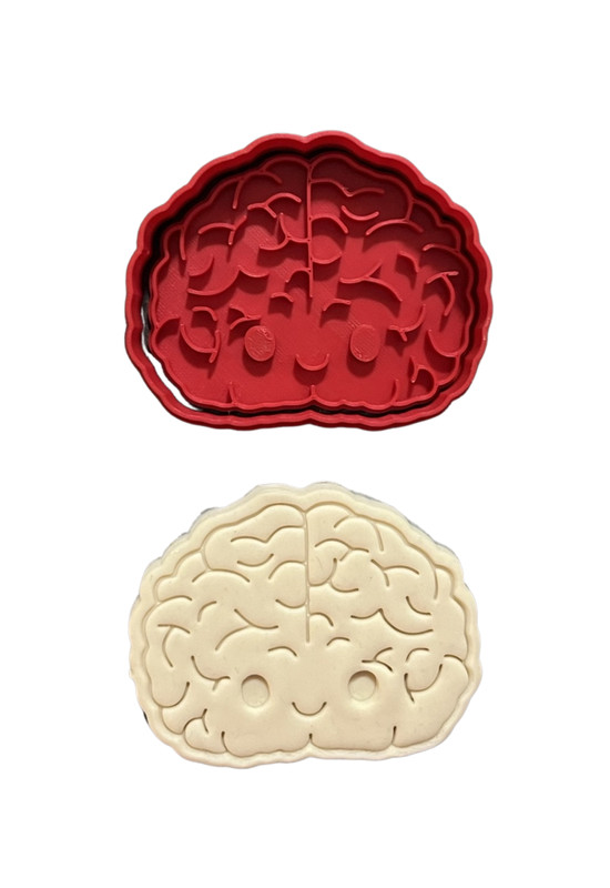Human Organ Cookie Cutter Stamp Kidney Uterus Stomach Brain Bladder Gall Bladder gallery