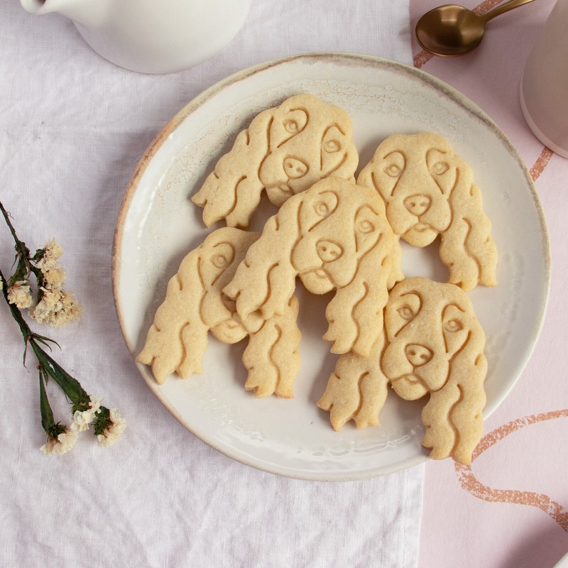 Show Cocker Spaniel Face Cookie Cutter dog portrait treats animal shelter rescue gallery