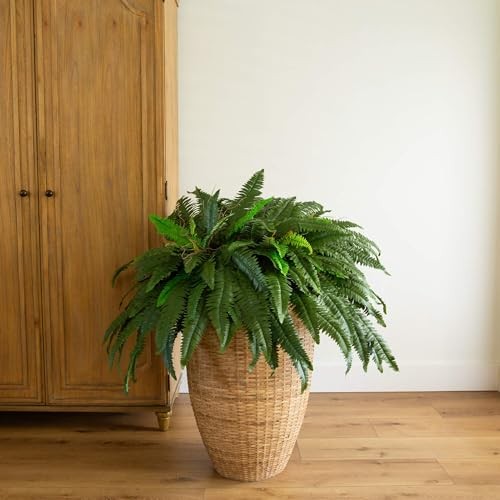 48in Artificial Boston Fern, Set of 2 - Large Hanging Fake Plant Wall Decor with gallery