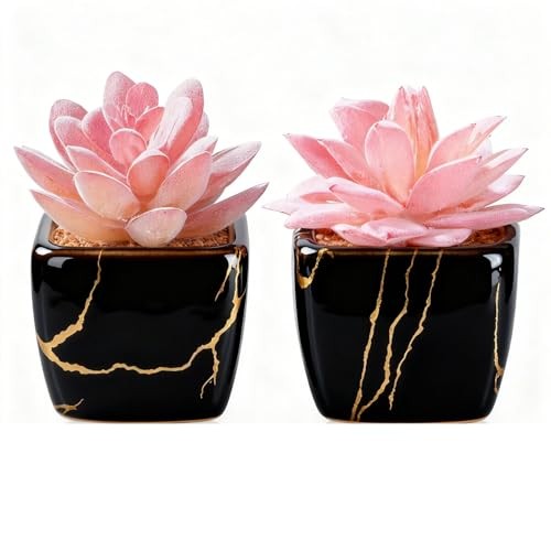 Artificial Succulent inPCS Ceramic Pot, Small Fake Succulents Plants 2 Black