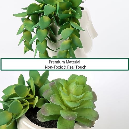 Fake Succulents Plants Artificial Succulents in Ceramic Pots Fake Potted Green gallery