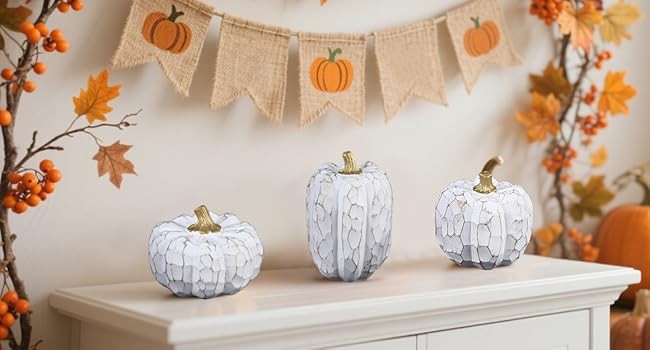 Pumpkins Fall Decorats for Home- Set of 3 Elegant White gallery
