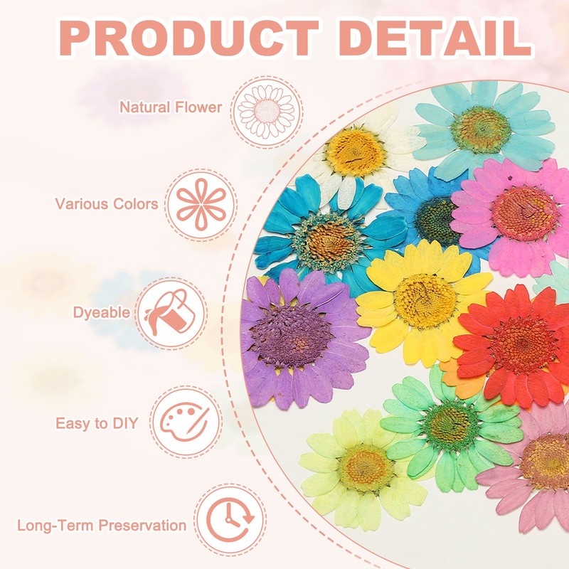 12Pcs Dried Pressed Flowers, Chrysanthemum Flowers for Nail Art, Light Yellow gallery