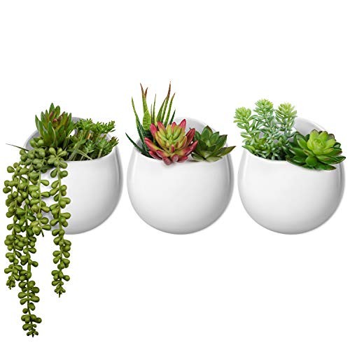 Wall Planter with Artificial Plants, Decorative Potted Fake Succulents Picks