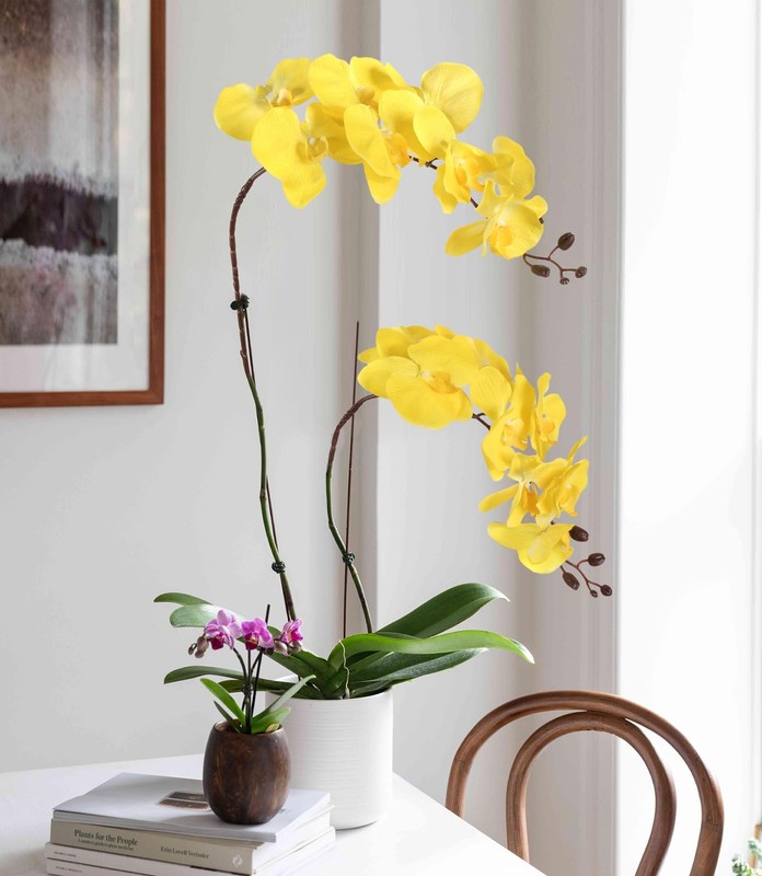 Icbox 6Pcs 41In Orchid Flowers Artificial Orchid Stems Velvet Silk Orchids That gallery