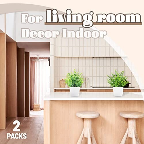 2 Pack Small Fake Plants Artificial Greenery Plants in Pots for Home White gallery