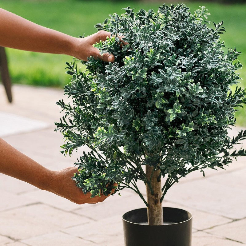 Tresil 2 Pack Pre-Potted 25 Ball Shaped Boxwood Topiary- 16 - Pot gallery