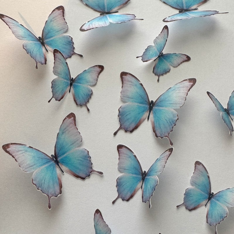 Multicoloured Pre-cut Edible Wafer Paper Butterflies