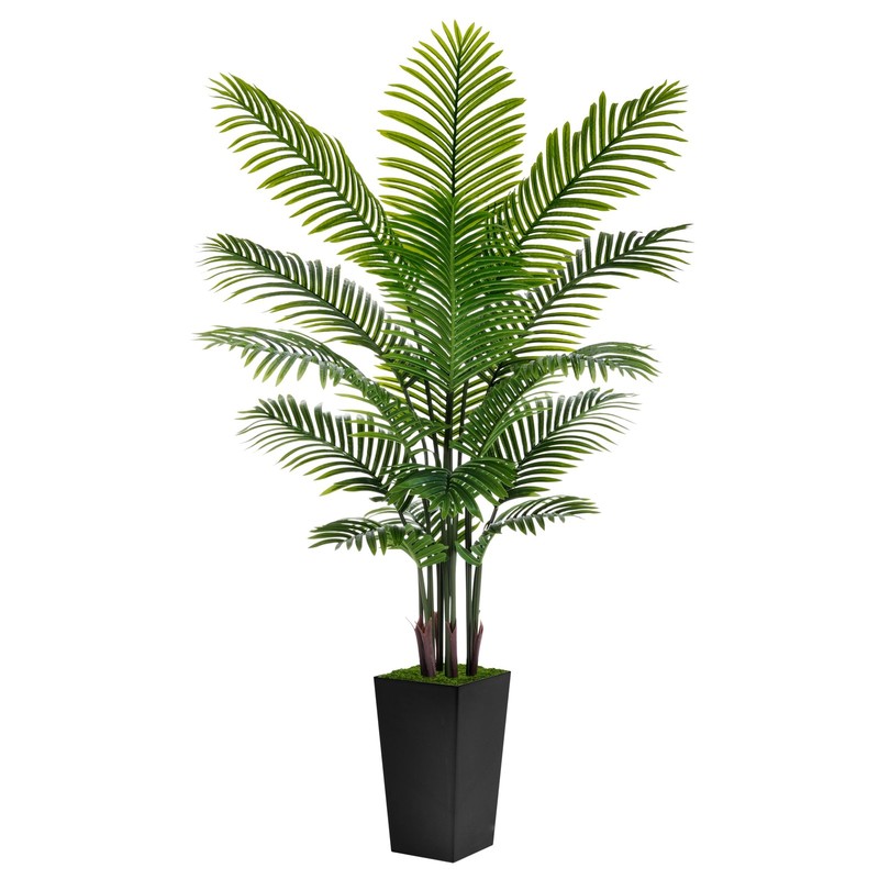 Astidy Palm 6Ft – Black – Areca Floor Plant In Pot –
