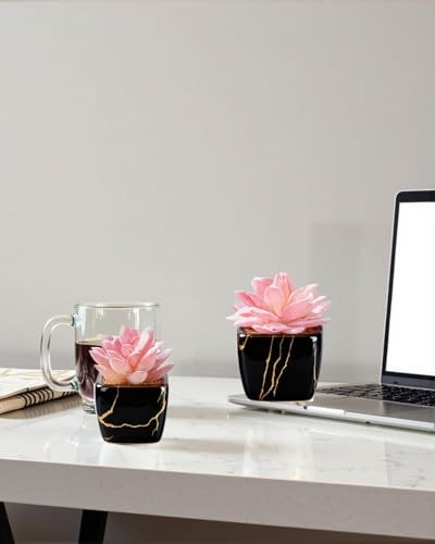 Artificial Succulent inPCS Ceramic Pot, Small Fake Succulents Plants 2 Black gallery