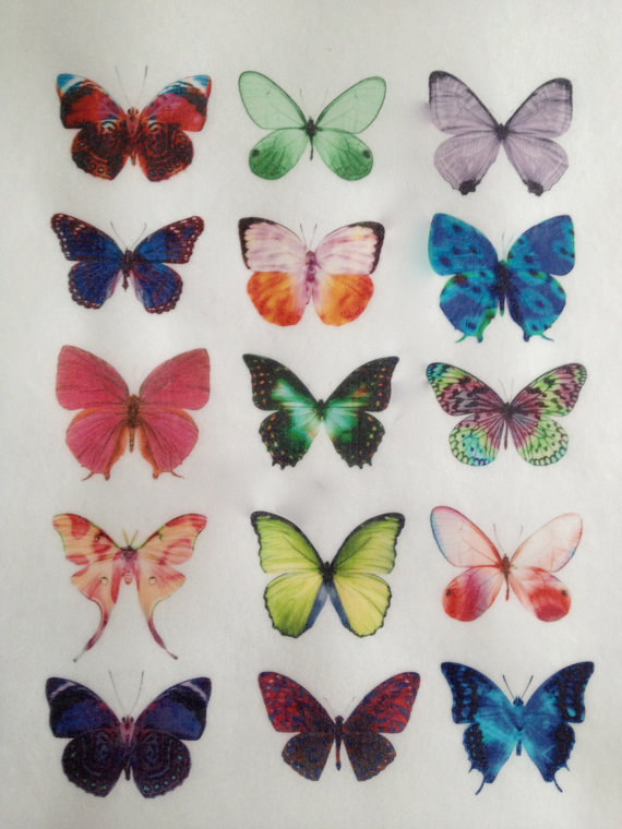 Rainbow Fairy Edible Butterflies- Cupcake and Cake Decoration gallery